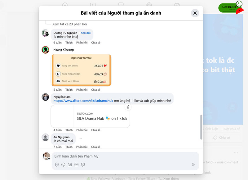 Các hình thức spam comment facebook