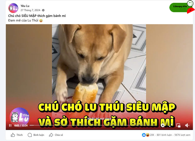 Câu hỏi liên quan hack view video facebook