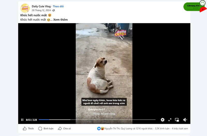 Lợi ích buff view reel facebook free
