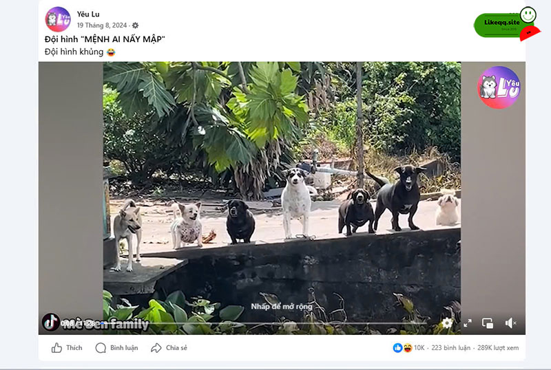 Lợi ích buff view video facebook